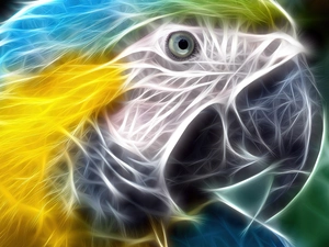 3D, parrot, ara