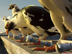 banknotes, Deep, coils