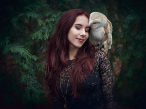 trees, viewes, owl, Barn Owl, girl