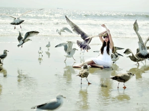 gulls, Beaches, White, dress, Women