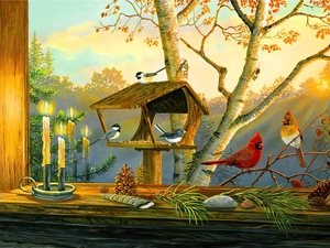 Cardinals, Bird, Candles, birds, Window