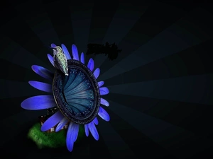 humming-bird, gramophone, Colourfull Flowers