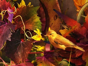 graphics, canary, Leaf, Bird