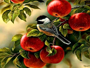 apples, leaves, Art, birdies