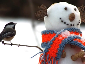 birdies, Snowman, Scarf