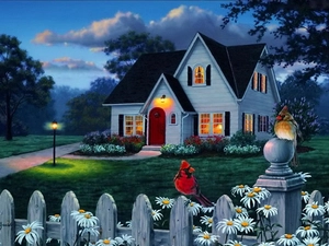 Fance, Cardinals, house, birds