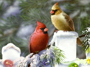 birds, winter, painting, Cardinals