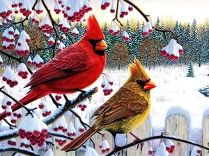 birds, Twigs, winter, Cardinals