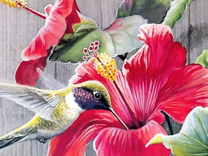 Art, Colourfull Flowers, humming-bird