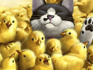confusion, cat, chickens