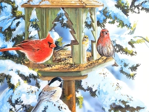 birds, winter, tit, conifer, cardinal, Bird