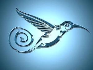 graphics, humming-bird, contours