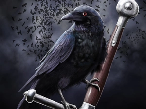Crow