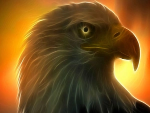 eagle, Fractalius