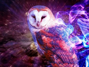 effects, owl, snow