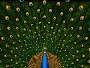 Eyes, peacock, tail