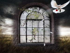 clouds, fantasy, Window, dark, pigeon