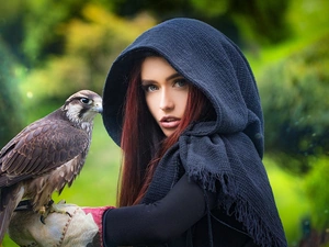 hand, forest, falcon, an, girl