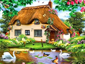 house, Swan, ducks, Garden