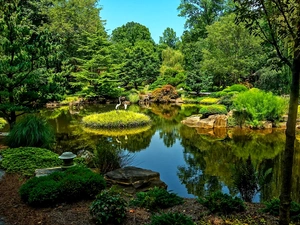 Park, green, cranes, Pond - car