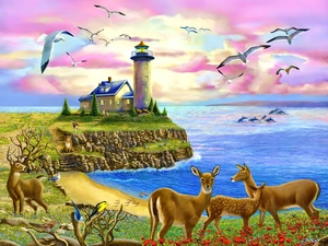 sea, Lighthouse, deer, gulls, deer, maritime