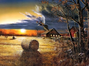 field, picture, pheasant, house, roe, country