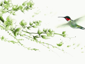 humming-bird, Flowers