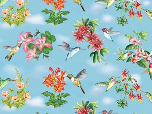 hummingbirds, Flowers