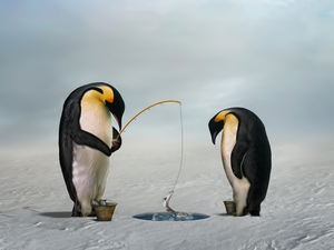 penguin, graphics, Computer, hunting