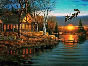 house, lake, ducks, Great Sunsets