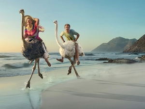 ostriches, Women, Beaches, Mountains, sea, a man