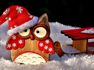 Hat, Wooden, sledge, owl, decoration, Nicholas, snow