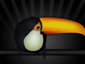 Toucan, nose, 3D Graphics, Yellow