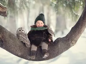 Owl, Kid, trees, Lod on the beach, Little Owl, Owls