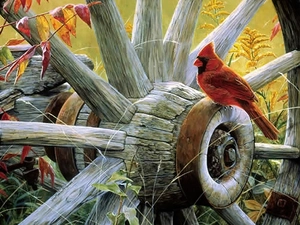 painting, cardinal, circle