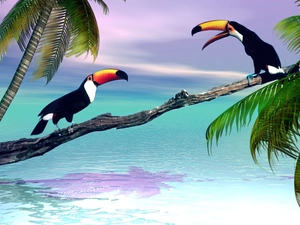 Palms, sea, Toucan