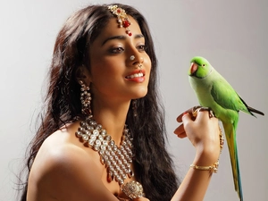 jewellery, Beauty, Green, parrot, make-up, Hindu