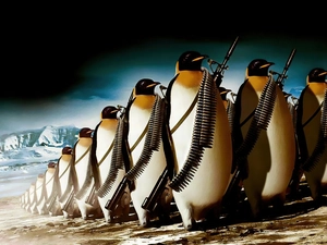penguin, marching, armed