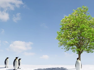 penguin, trees