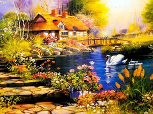 picture, Pond - car, Swans, Home