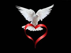 ribbon, dove, Heart