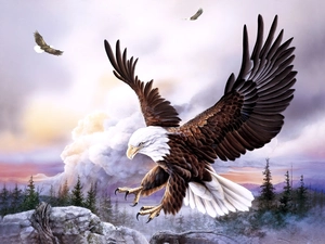 rocks, Eagles, forest