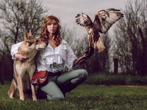 falcon, Women, German Shepherd