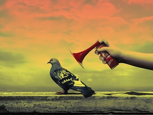 Sky, pigeon, trumpet