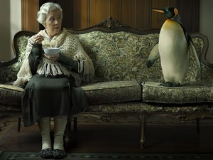 penguin, Sofa, Women, meal, Mature