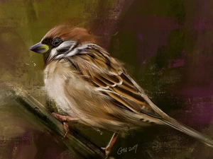 Bird, twig, graphics, sparrow