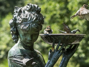 Statue monument, Sparrows, sparrows, drinking fountain