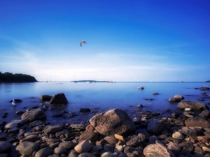 sea, gulls, Canada, Stones