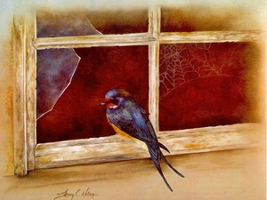 Bird, Window, copy, swallow