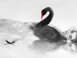 Women, Black, pen, Swans